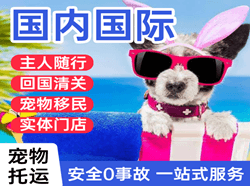 常州机场货运国际宠物托运 【国